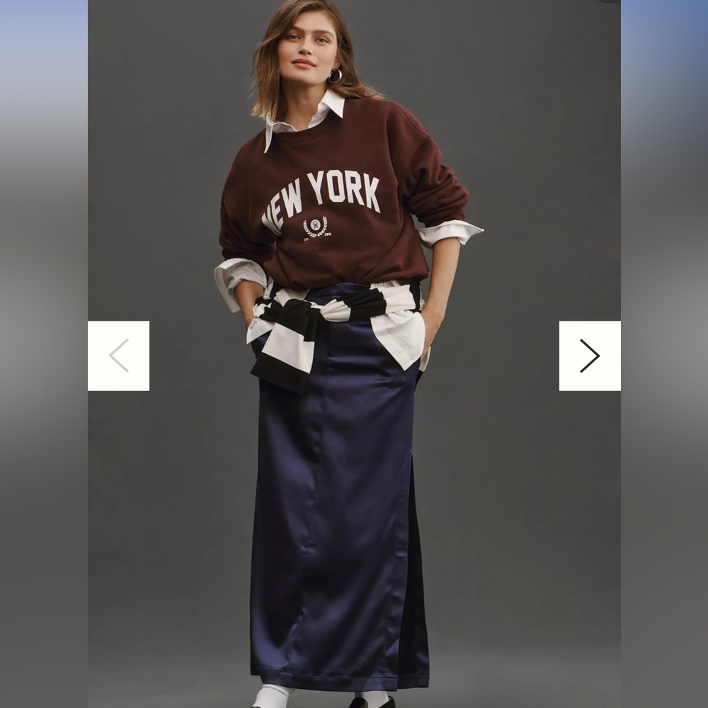 Anthropologie Trouser Skirt